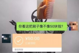 枝江债务清欠服务